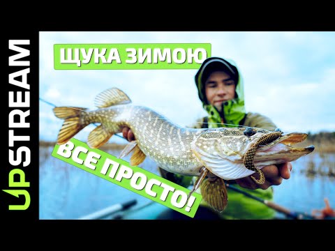 Видео: Щука ЗИМОЮ на РУСЛІ річки СТИР! | UPSTREAM