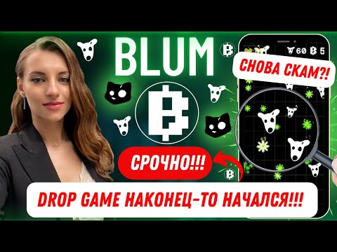 Видео: ⚠️BLUM - СРОЧНО!!! DROP GAME НАКОНЕЦ-ТО НАЧАЛСЯ!!! ЛУЧШЕ БЫ НЕ НАЧИНАЛСЯ! СНОВА СКАМ?!