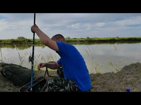 Видео: Рыбалка на обычного червя.  Клюёт один за другим.