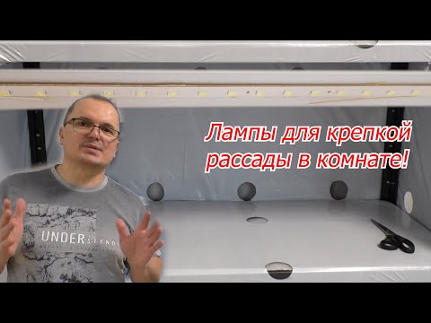 Видео: Лампы, под которыми вырастает толстая и коренастая рассада!