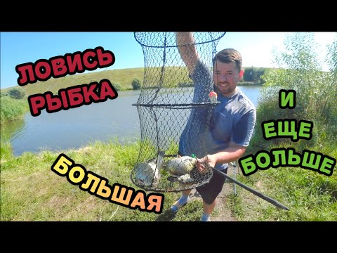 Видео: РЫБАЛКА НА ФИДЕР//ОТДЫХ НА ПРИРОДЕ//КУПАТЫ НА КОСТРЕ