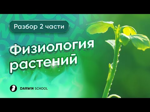 Видео: Тема №14 : Физиология растений