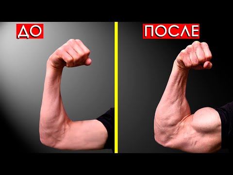 Видео: 6 Простых Упражнений с Гантелями для Мужчин, Которые Трансформируют Ваше Тело за 4 Недели