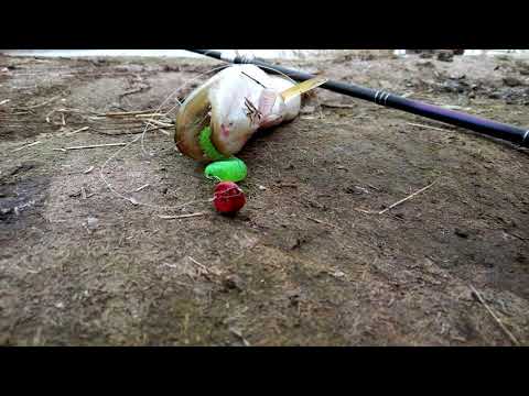 Видео: ЦВЕТНЫЕ ГРУЗА ЛОВЯТ ИЛИ ОТПУГИВАЮТ РЫБУ ?