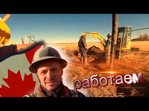 Видео: Как прошла неделя Иммигранта