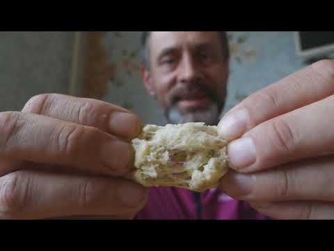 Видео: Тесто для ловли карася  Херабуна