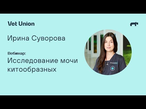 Видео: Исследование мочи китообразных