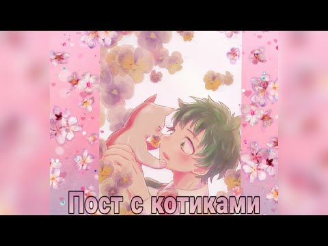 Видео: ТодоДеку (озвучка додзинси Пост с котиками) (сёнен ай)