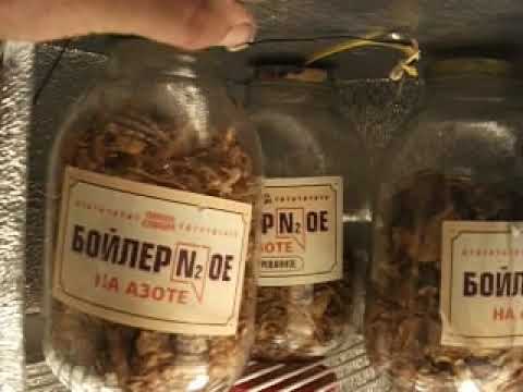 Видео: ферментатор для табака