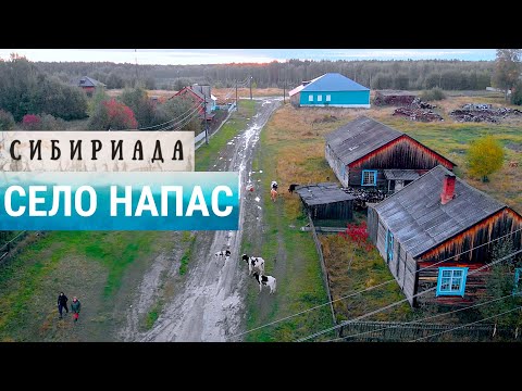 Видео: Напас — пуп земли | СИБИРИАДА