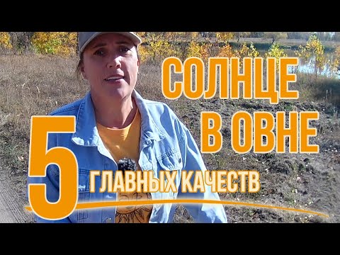 Видео: Солнце в Овне: инструмент саморазвития