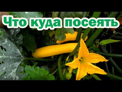Видео: Взаимодействие культур при уплотненных посадках