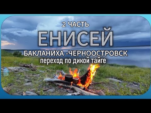 Видео: ЕНИСЕЙ. Бакланиха-Черноостровск.Переход 4.5 дней по дикой тайге.#2 часть