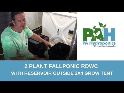 Видео: Гидропонная система Fallponic Waterfall для 2 растений