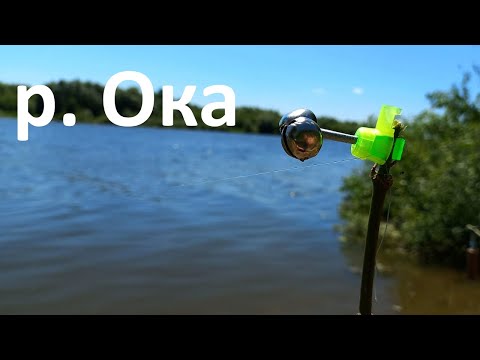 Видео: Ловим на живца. Река Ока