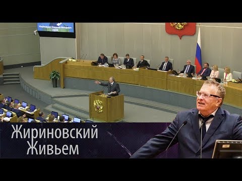 Видео: Владимир Жириновский выступил на отчете Правительства РФ