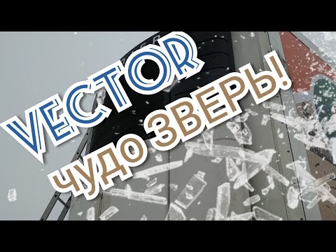 Видео: Обзор Vector 1850‼️Самые частые болячки‼️