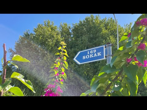 Видео: MARMARIS Part 3. Как живут местные 🏡🍇