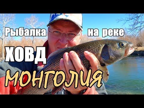Видео: Монголия. Рыбалка на реке ХОВД/Монгольский хариус на спининг/Автотуризм - путешествие на vw Touareg.