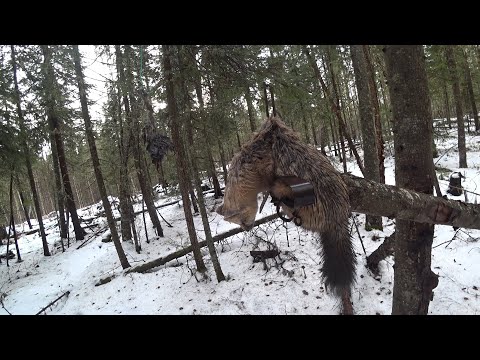 Видео: УДАЧНАЯ ПРОВЕРКА//ОТВЕТЫ НА ВОПРОСЫ