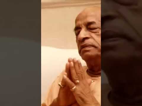 Видео: Шрила Прабхупада о подмене понятий