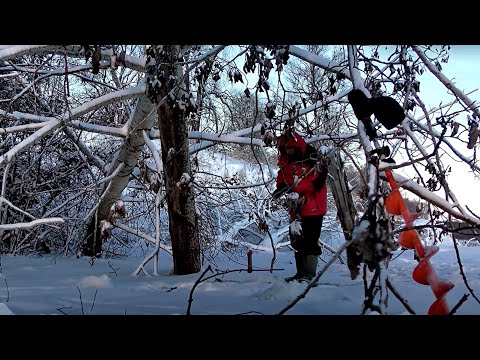 Видео: ВСЯ РЫБА ЗАБИЛАСЬ ПОД ОДНУ КОРЯГУ!! Дневной хапок! Рыбалка на Алтае 2024