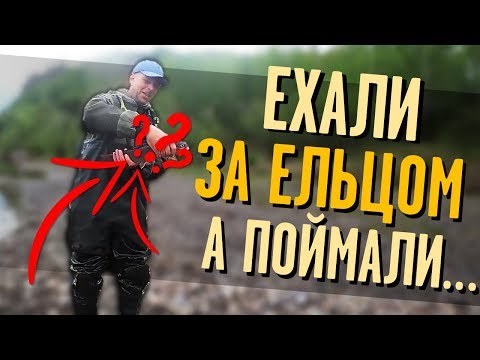 Видео: Рыбалка на Ельца и неожиданный улов! Как настроить удилище?