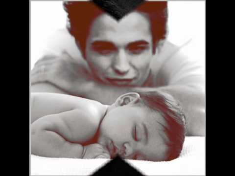 Видео: котик