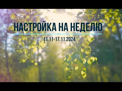 Видео: настройка на неделю 11-17.11.2024