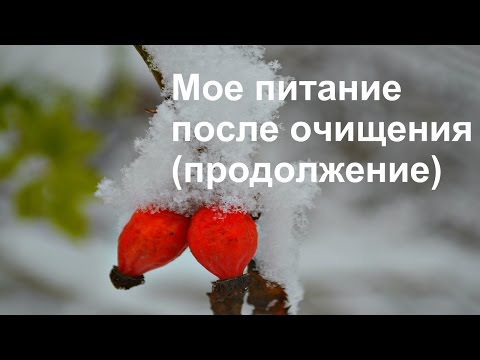 Видео: Мое питание после очищения (продолжение). Бая Че Доктор Натуропатии