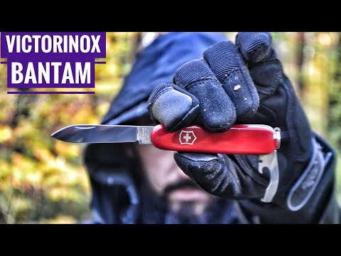 Видео: нож Victorinox Bantam тест / testing