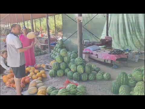 Видео: Шымкент. Рыбачим, копаем, отдыхаем