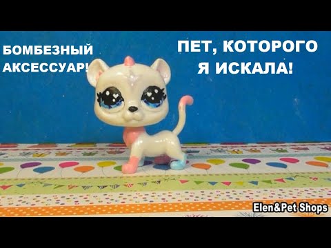 Видео: LPS: ПЕТ КОТОРОГО Я ИСКАЛА ОТ FOXY SIX