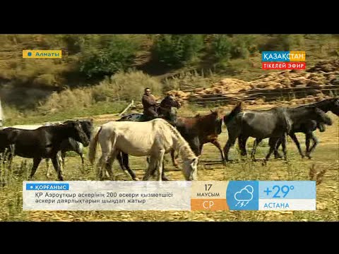 Видео: Қазақы жылқы - қарабайыр тұқымы