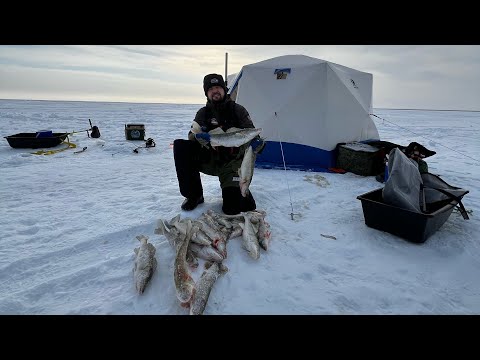 Видео: ЗА ЧТО 10000 ЗАПЛАТИЛ. ТАК и НЕ ПОНЯЛ. Рыбалка на судака.