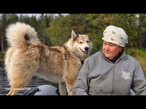 Видео: На реке Уксунйоки
