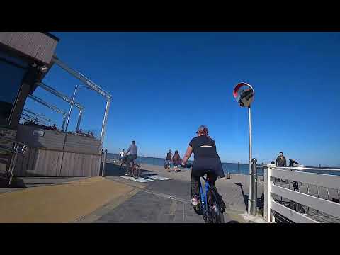 Видео: Велопробег 16-09-2023. Куршская коса - Зеленоградск - Пионерский