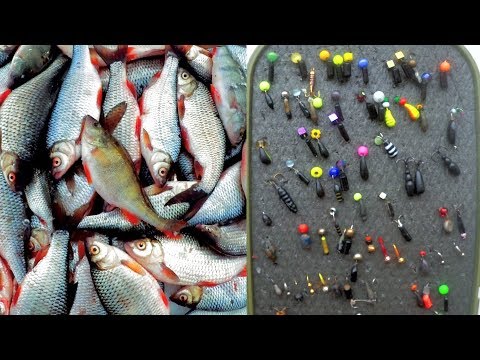 Видео: Безмотылка для начинающего - разговор по теме в ходе рыбалки! Выбор снасти под себя!