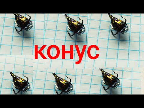 Видео: Конус, блестящий, безмотылка. Шарага.