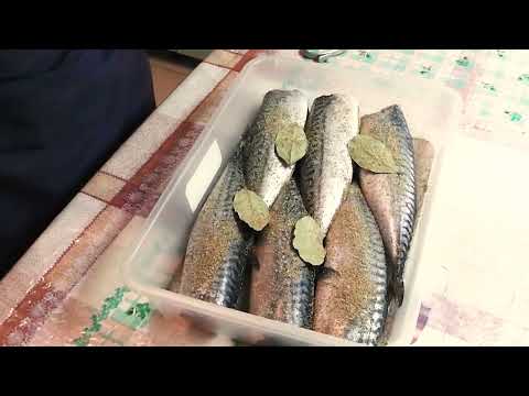 Видео: Скумбрия провесная, простой и вкусный деликатес.