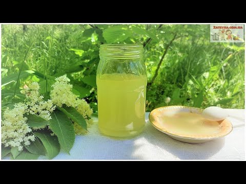 Видео: СИРОП из Цветков Чёрной Бузины   натуральный и полезный! Без Термообработки и для хранения на Зиму!