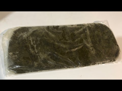 Видео: Мидия для кормления аквариумных рыб. Способ приготовления и предосторожность в применении.