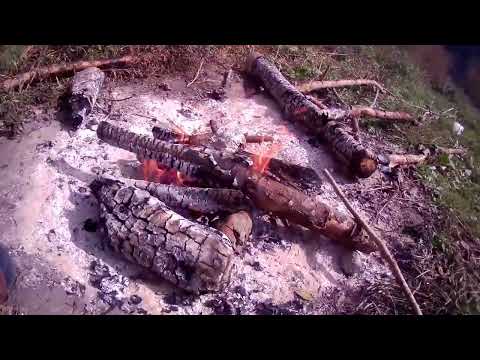 Видео: Я здесь давно не был !