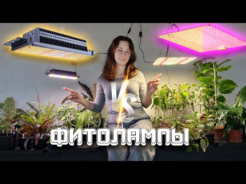 Видео: Фито лампы полного спектра свечения. Сравнение двух ламп с WILDBERRIES.