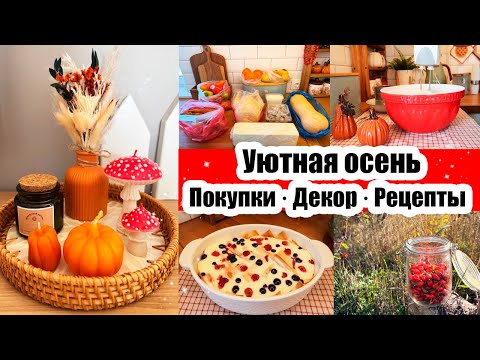 Видео: ПОКУПКИ НА РЫНКЕ 🍗🥕 НОВЫЙ ДЕКОР 🍄 УХОД ЗА КОЖЕЙ 40+ 🤗 ШИПОВНИК ДЛЯ ЧАЯ 🍵 УХА И БЛИНЧИКИ НА УЖИН 🥞