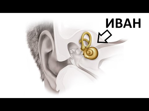 Видео: 2. Типове загуба на слух и изследване на слуха