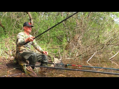 Видео: ДИВОВИЖНІ ПОКЛЕВКИ ВЕСНЯНОГО КАРАСЯ НА ПОПЛАВОК!!! Ловля карася. Рибалка 2024.