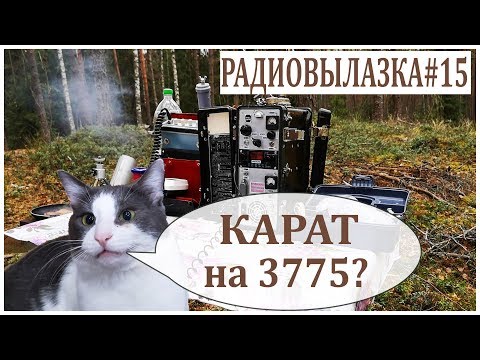 Видео: КАРАТ-2Н на частоту 3775 кГц. Радиовылазка#15.