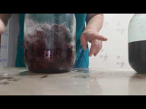 Видео: Наливка ежевичная.