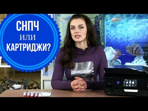 Видео: Что лучше: СНПЧ или картриджи?